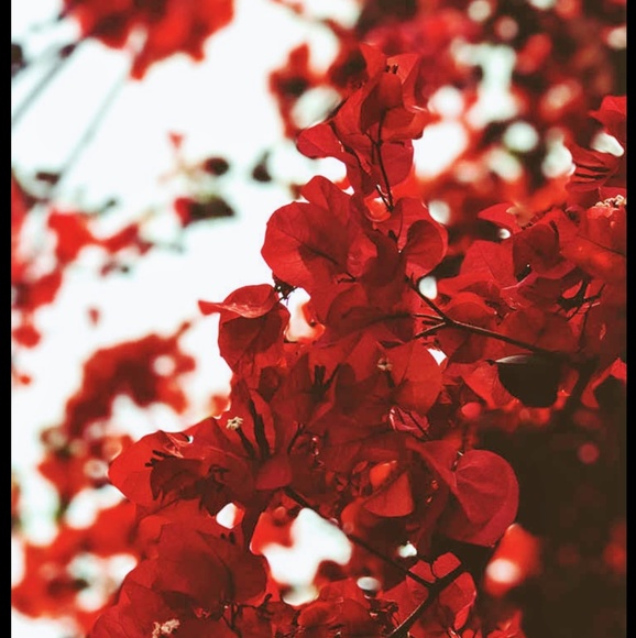 Meet your Posher, Andrew - Picture 1 of 1